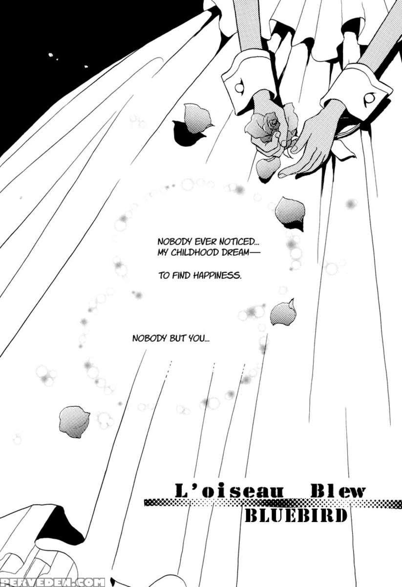 L'oiseau Blew 1