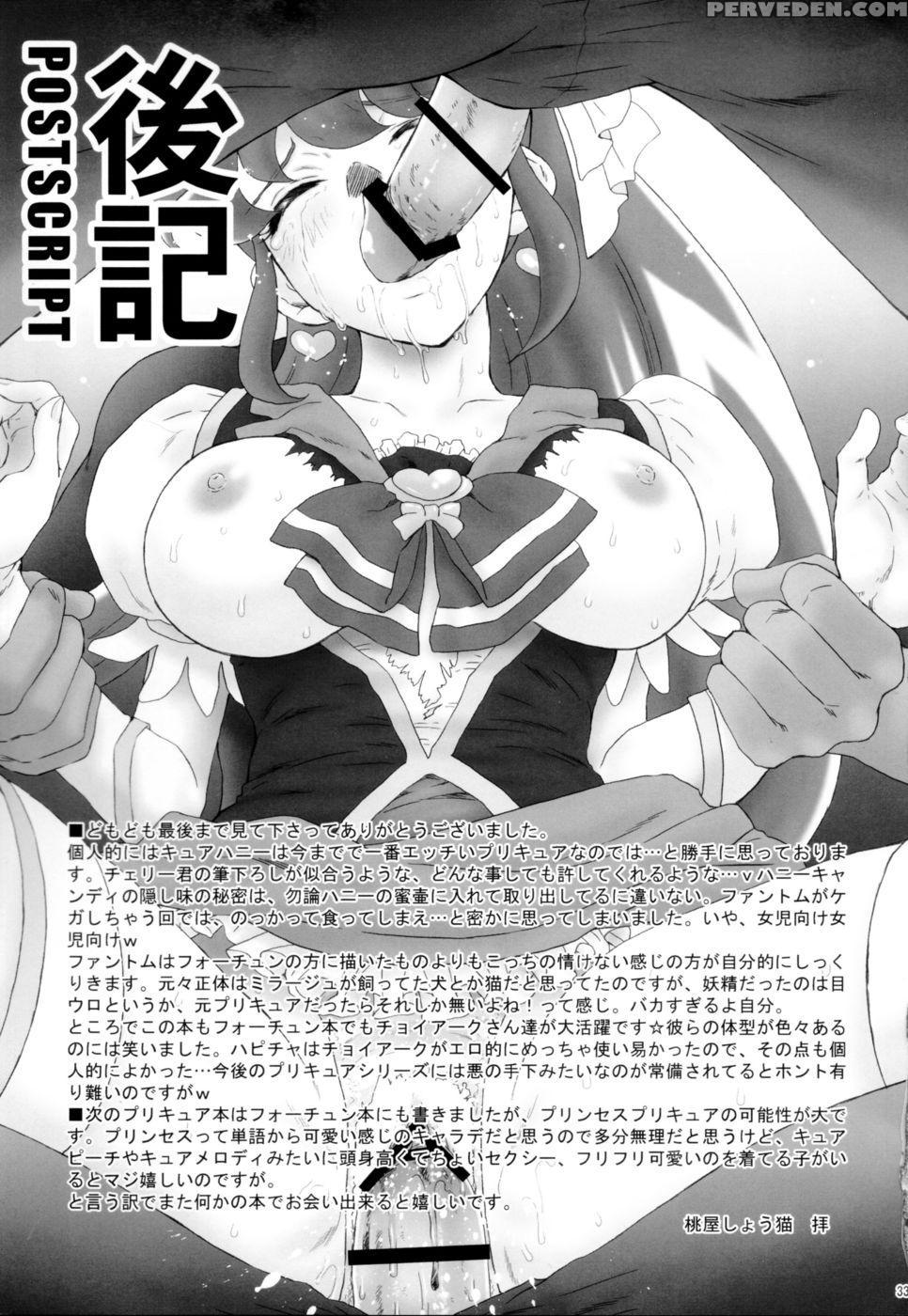 Leave It To Honey - Happinesscharge Precure! 1