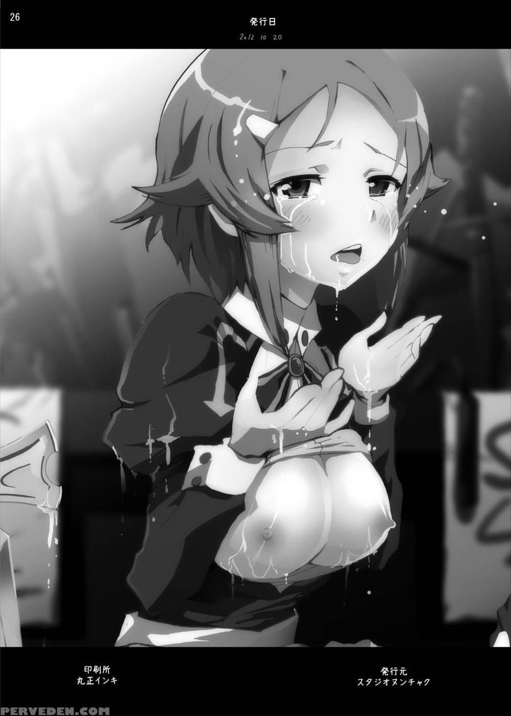 Lisbeth... Kirito Ni Wa Suterare, Kyaku Ni Wa Okasare Nakadashi Ninshin... Asuna To No Kakusa Ga Hirogaru Online - Sword Art Online 1