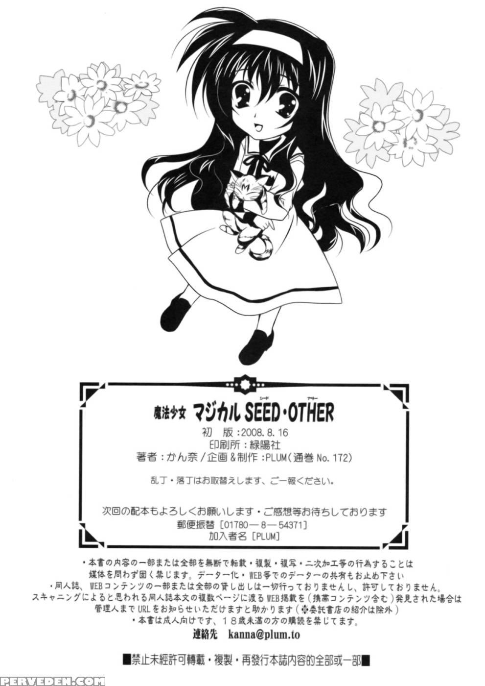 Mahou Shoujou Magical Seed Other - Magical Girl Lyrical Nanoha 1