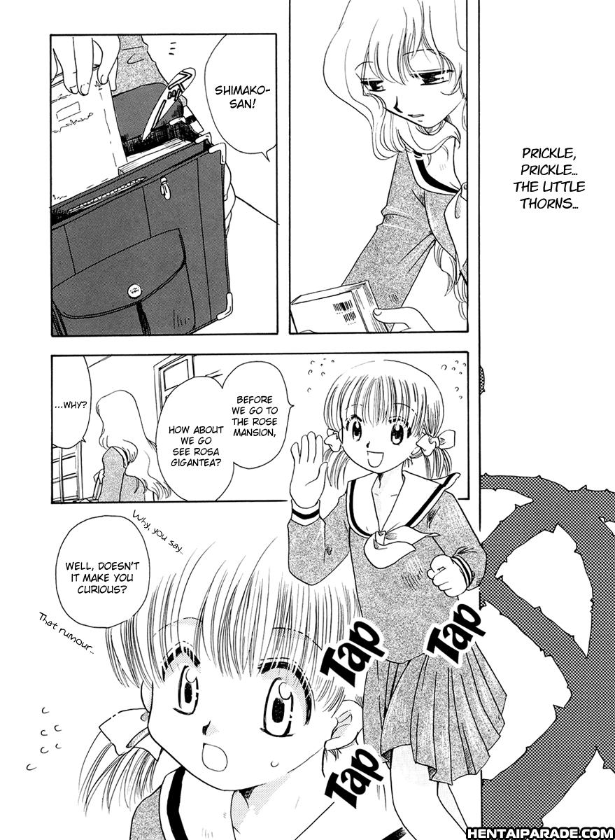 Maria-sama Ga Miteru Dj - The Forest Of Condolence 1