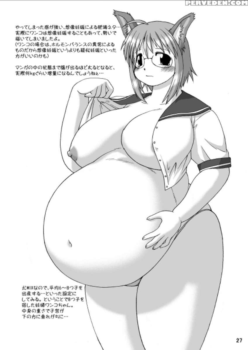Maruinu 1
