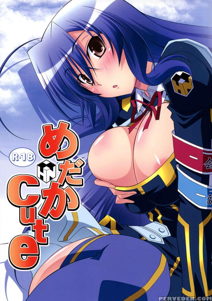 Medaka Cute 1