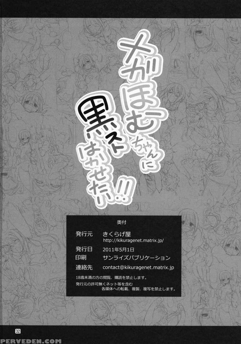 Megahomu-chan Ni Kurosto Hakasetai!! 1