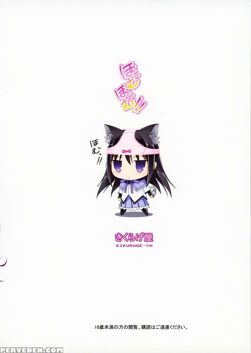 Megahomu-chan Ni Kurosto Hakasetai!! 1
