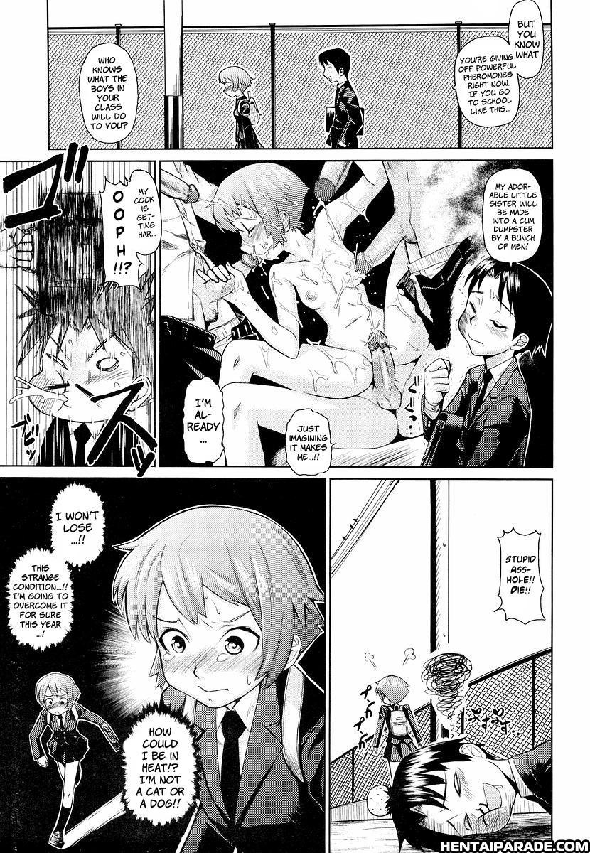Megane Gakkou 5