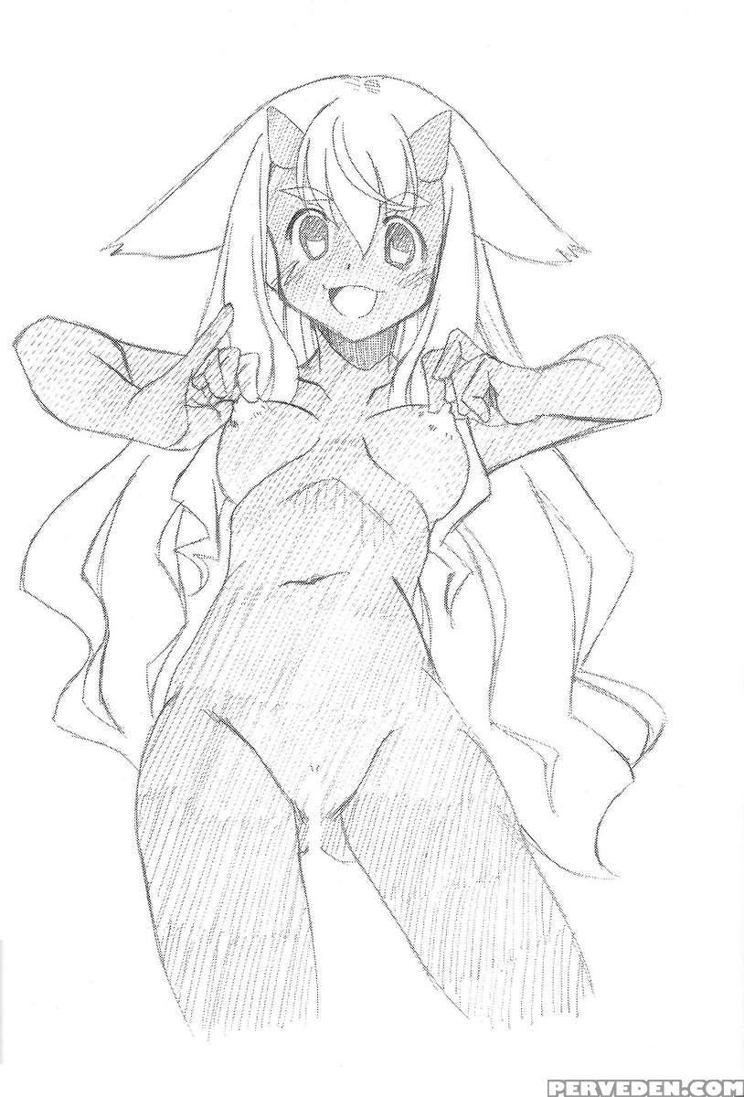 Meganegima 1