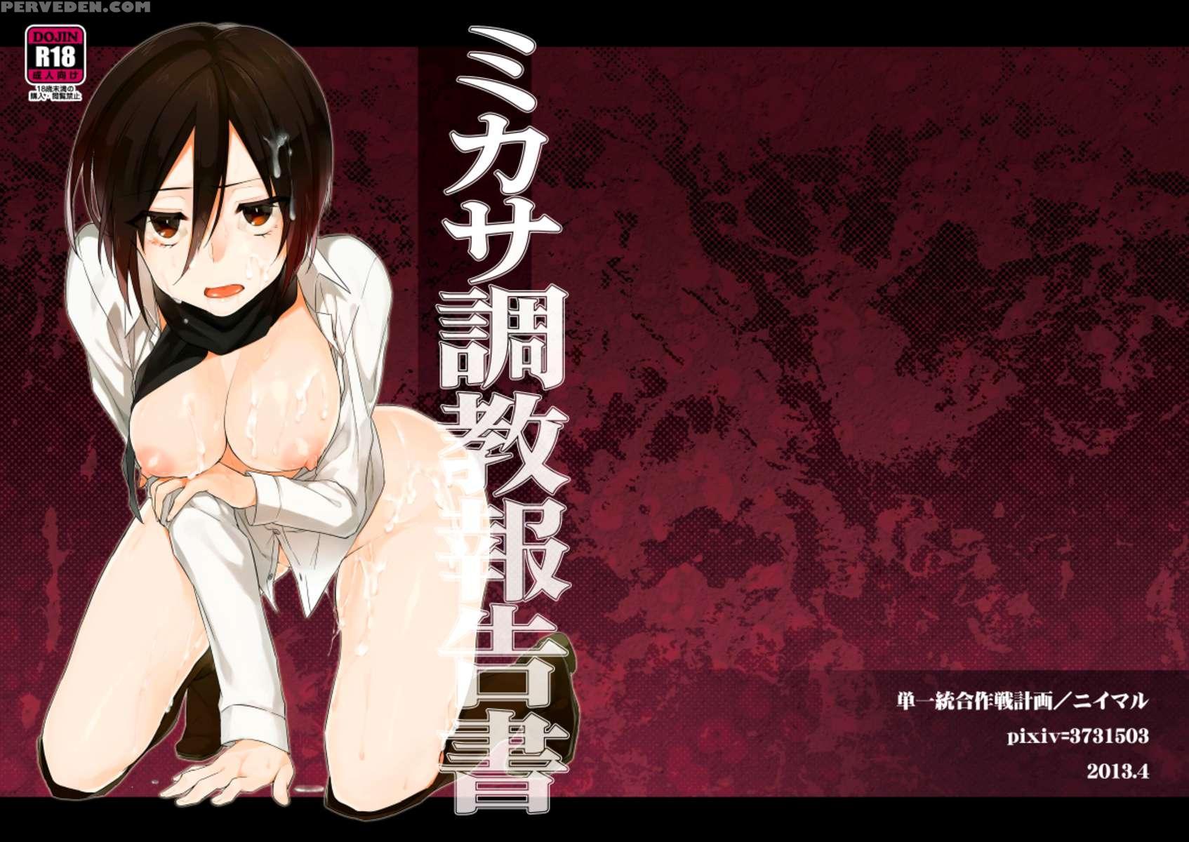 Mikasa's Training Report 1
