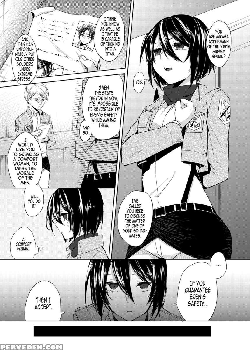 Mikasa's Training Report 1