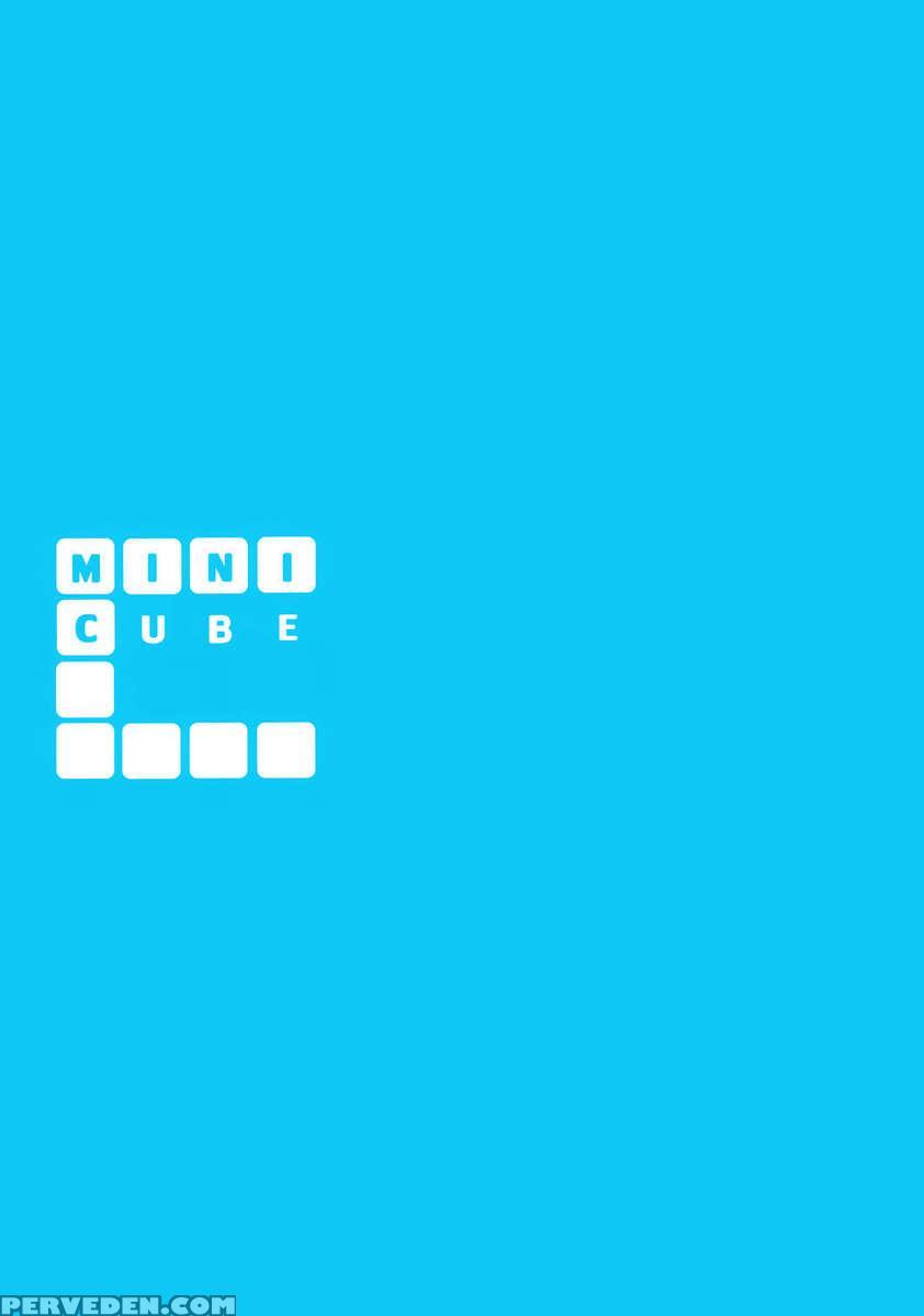 Minicube 1