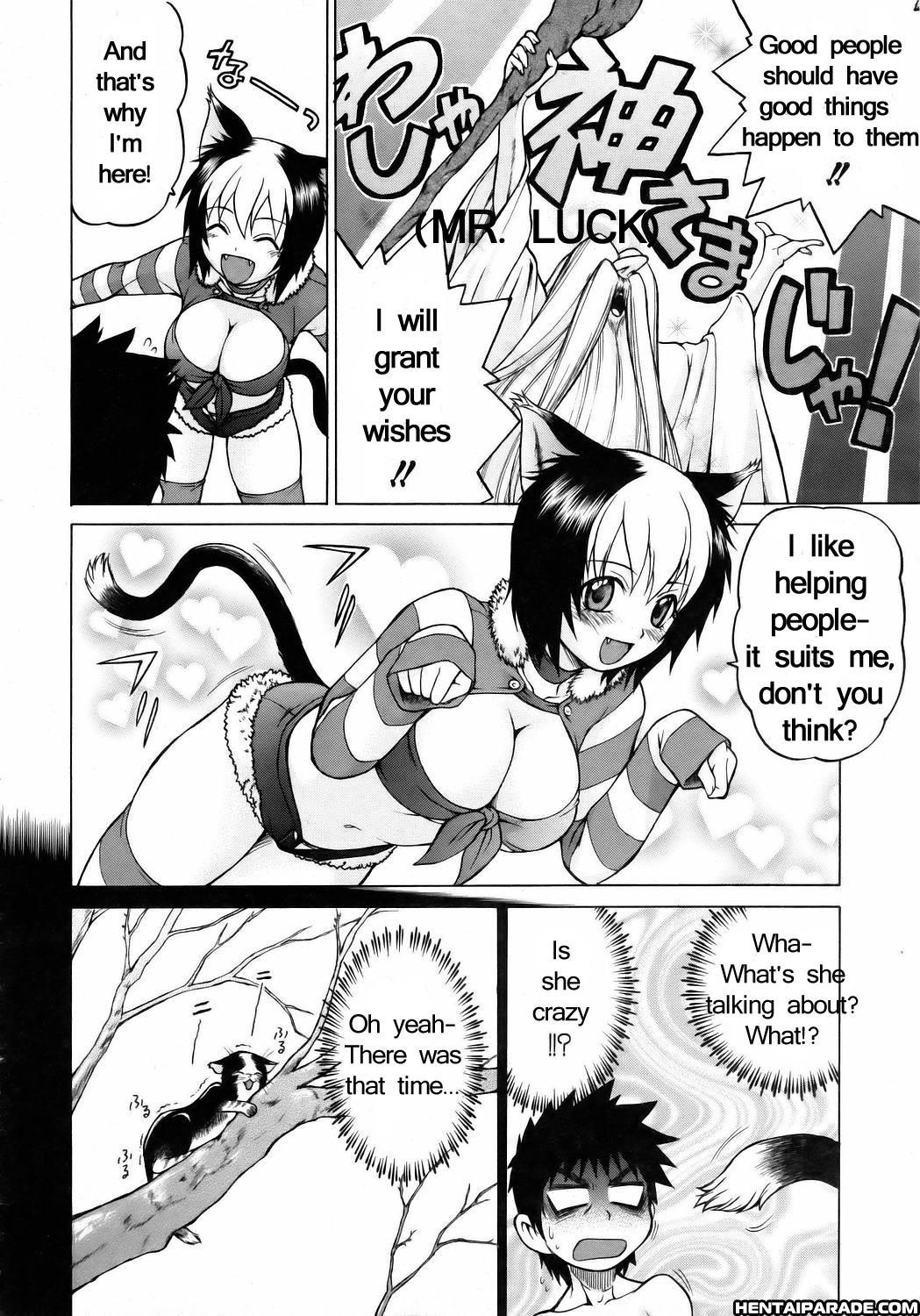 Miracle Cat Punch! 1
