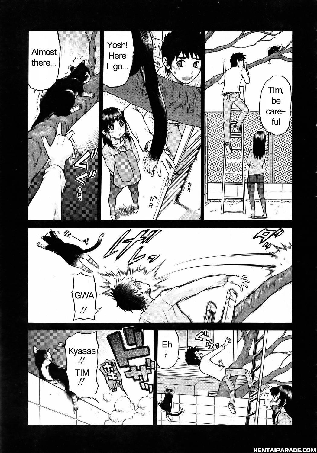 Miracle Cat Punch! 1