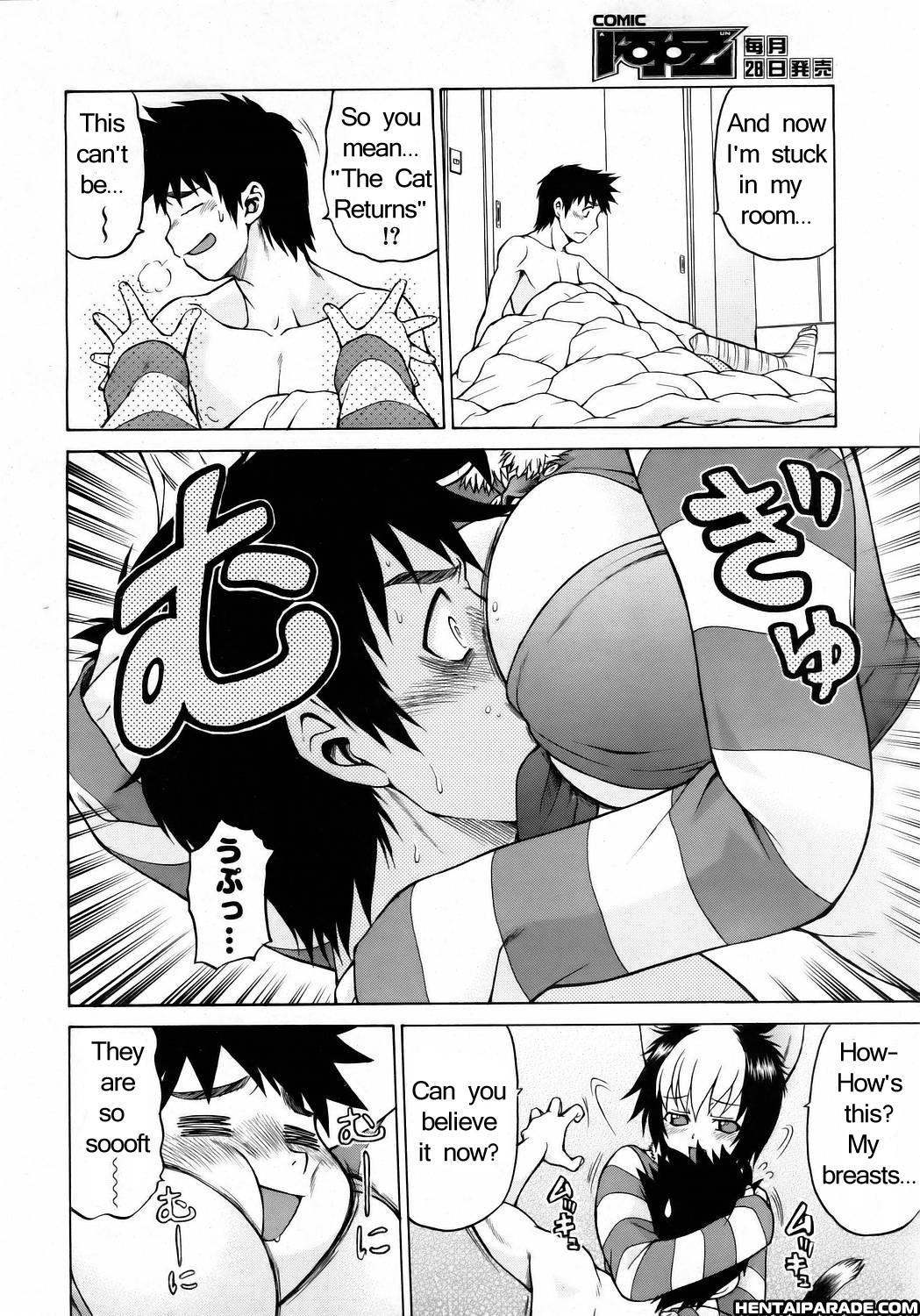 Miracle Cat Punch! 1