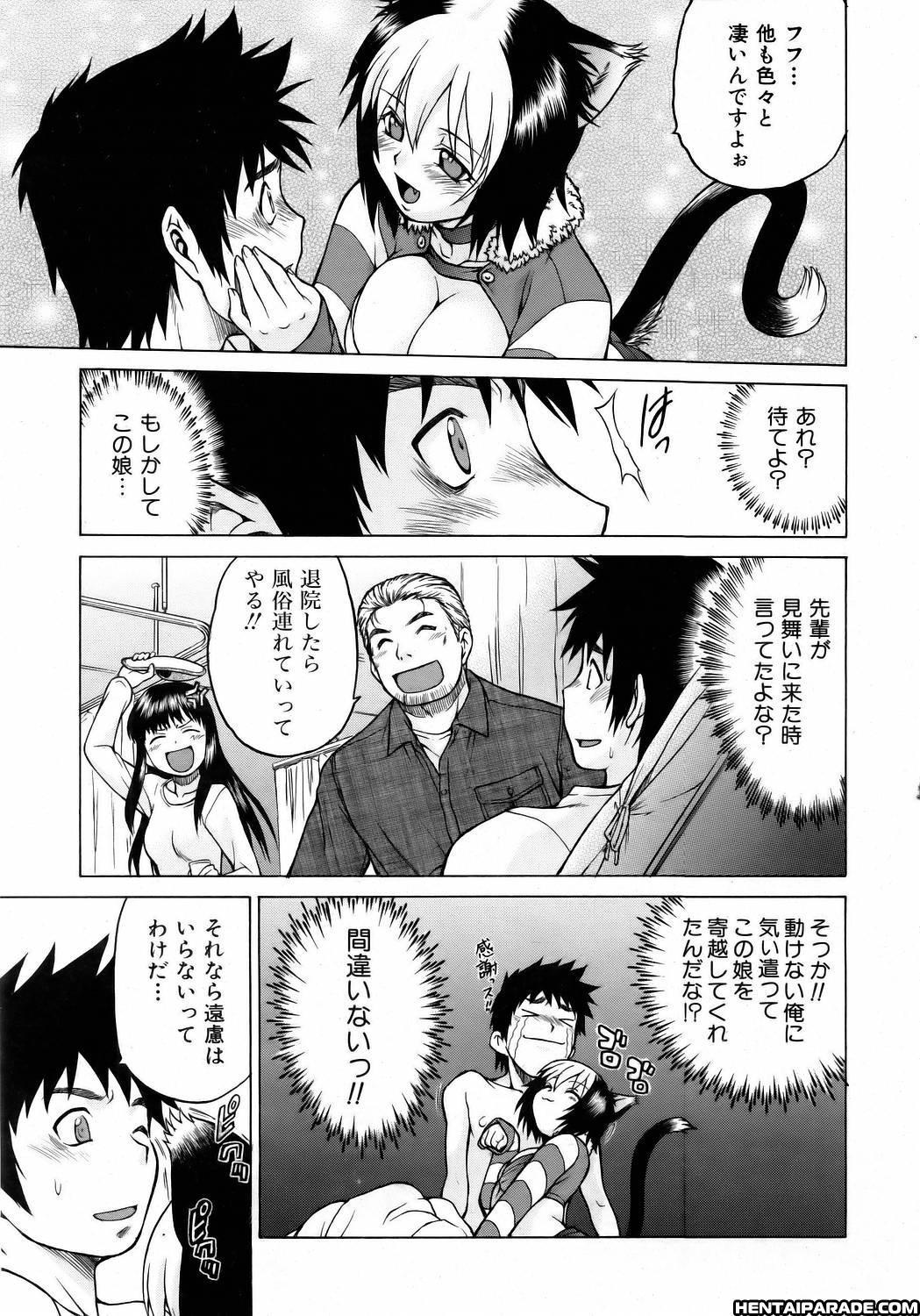 Miracle Cat Punch! 1