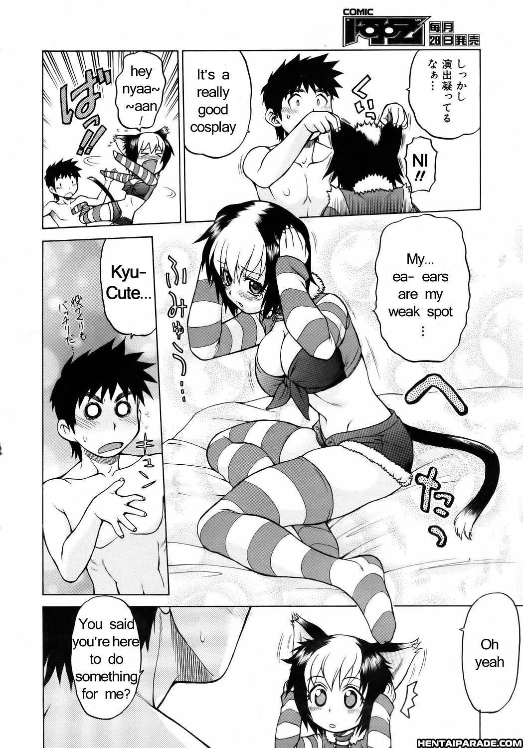 Miracle Cat Punch! 1