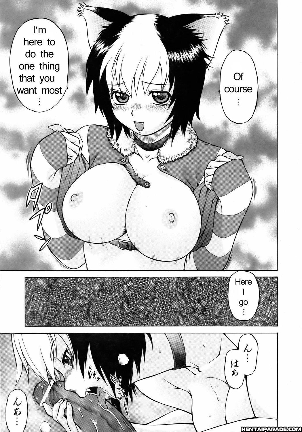 Miracle Cat Punch! 1