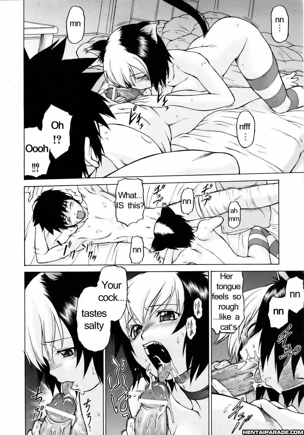 Miracle Cat Punch! 1