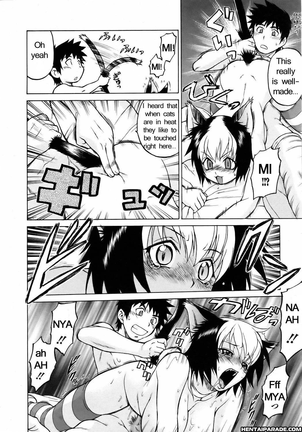 Miracle Cat Punch! 1