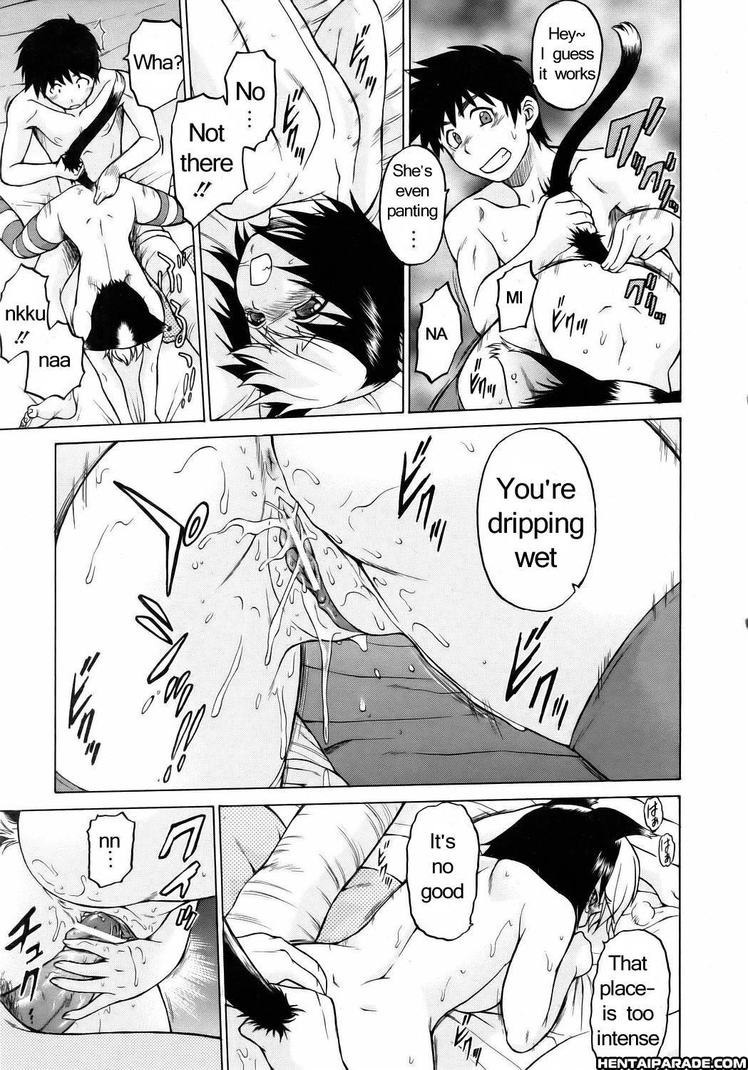 Miracle Cat Punch! 1