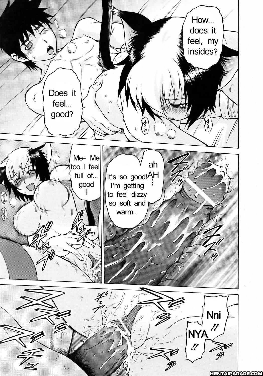 Miracle Cat Punch! 1