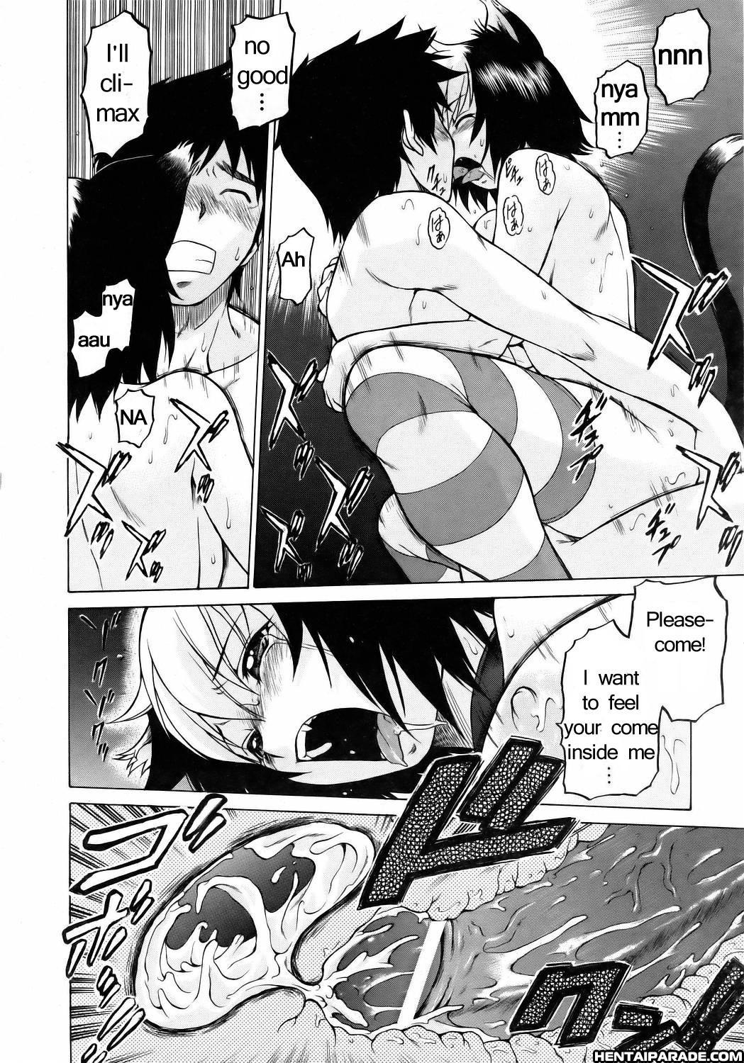 Miracle Cat Punch! 1