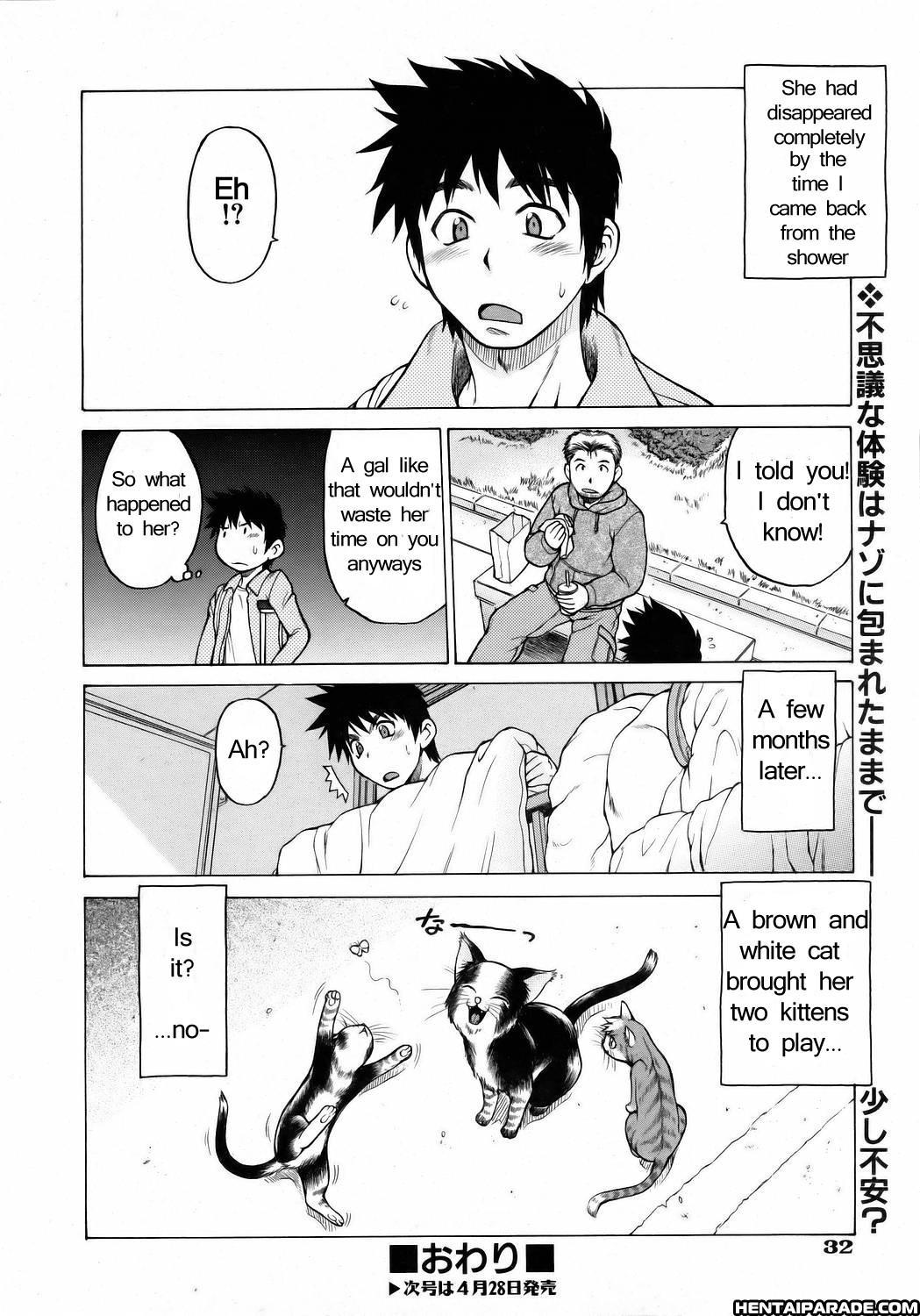 Miracle Cat Punch! 1