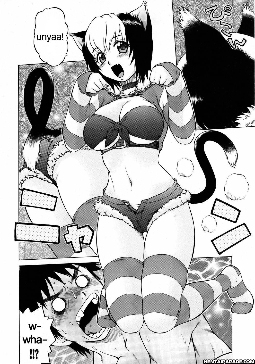 Miracle Cat Punch! 1