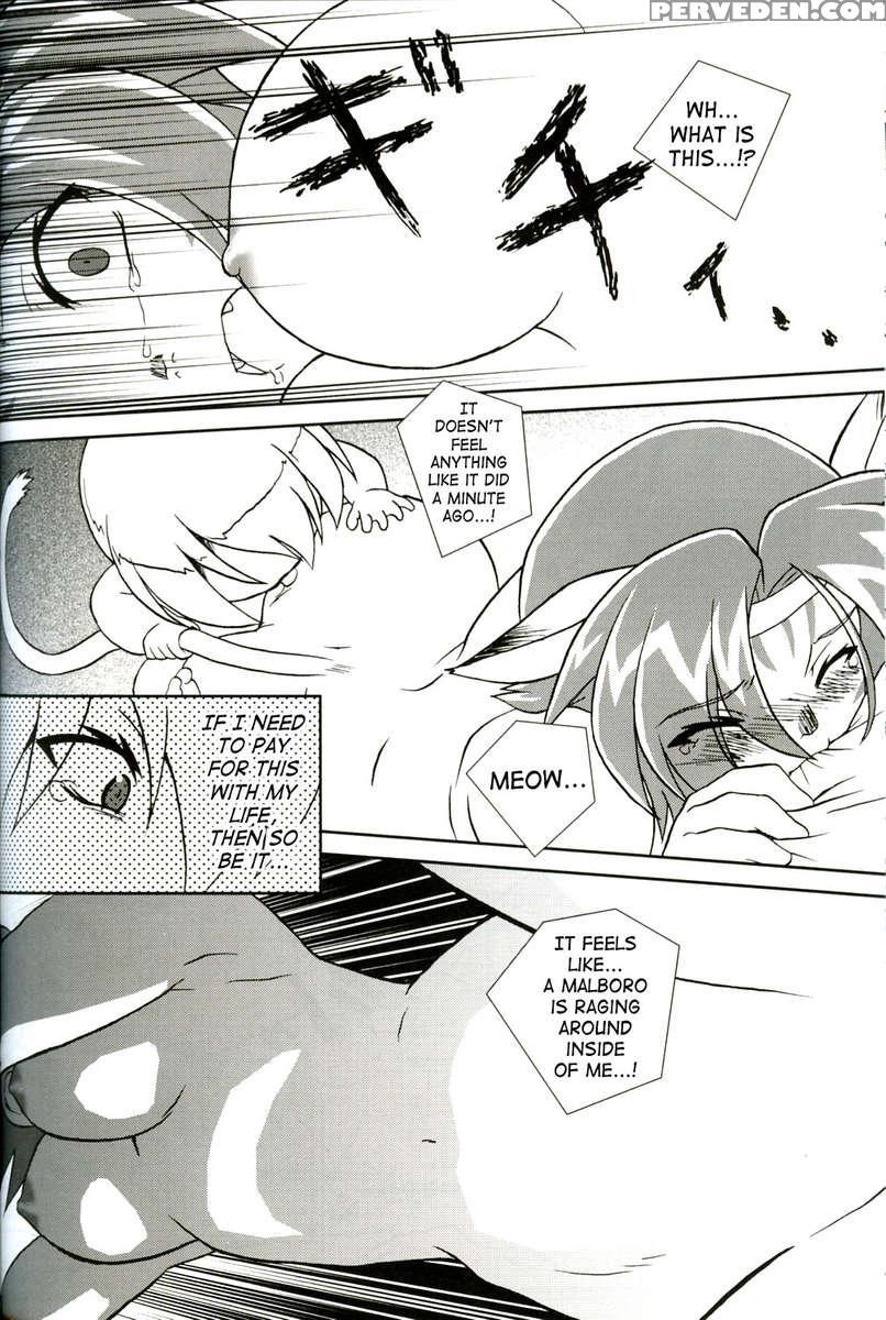 Misuran Taru Taru 1