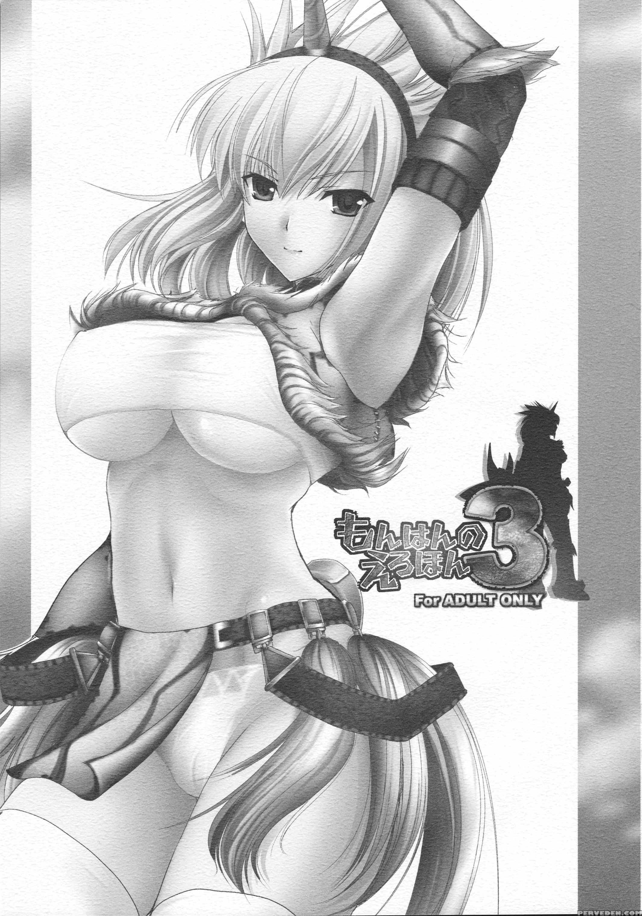Monhan No Erohon 3 - Monster Hunter 1