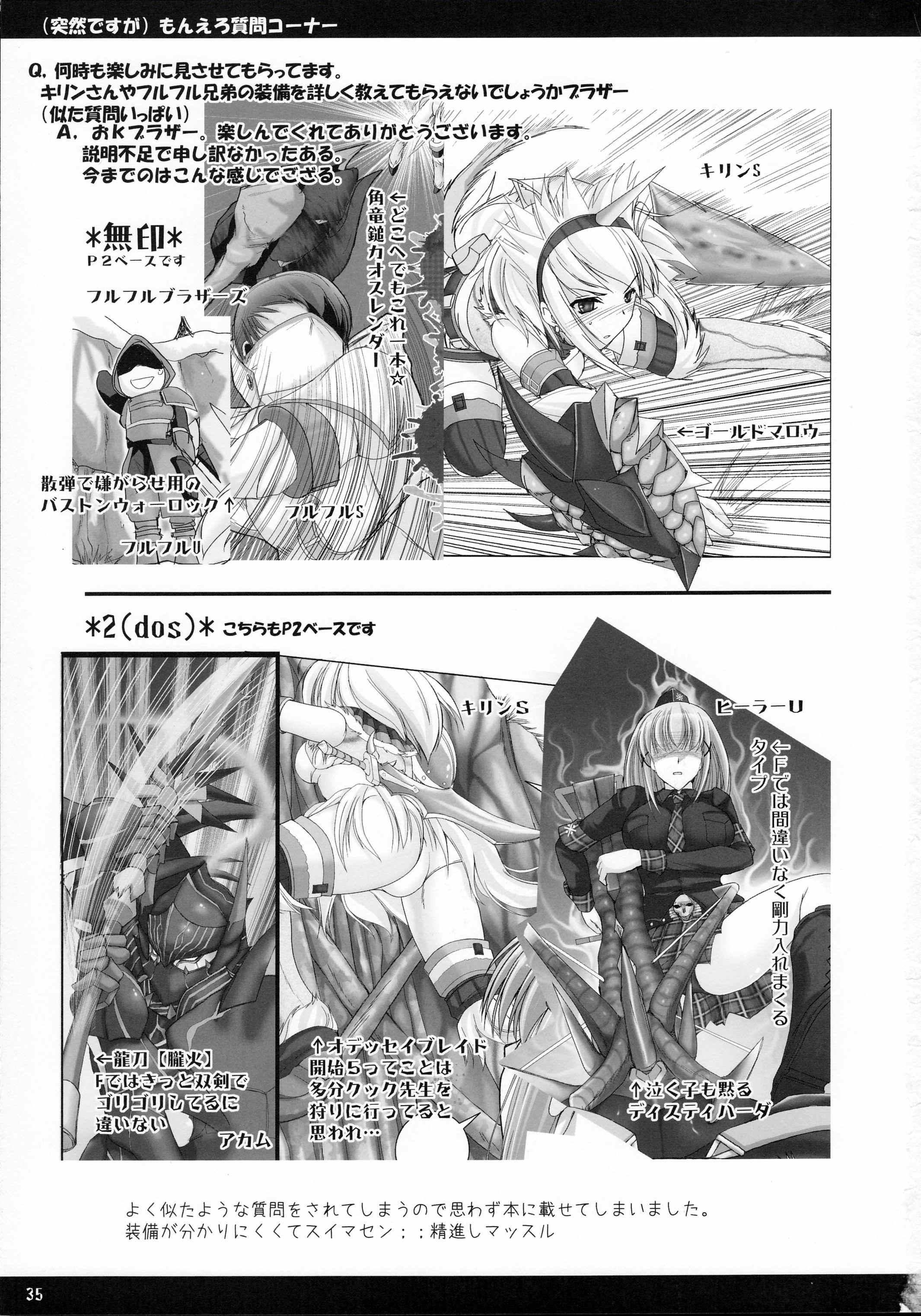 Monster Hunter Dj - Monhon No Ero 3