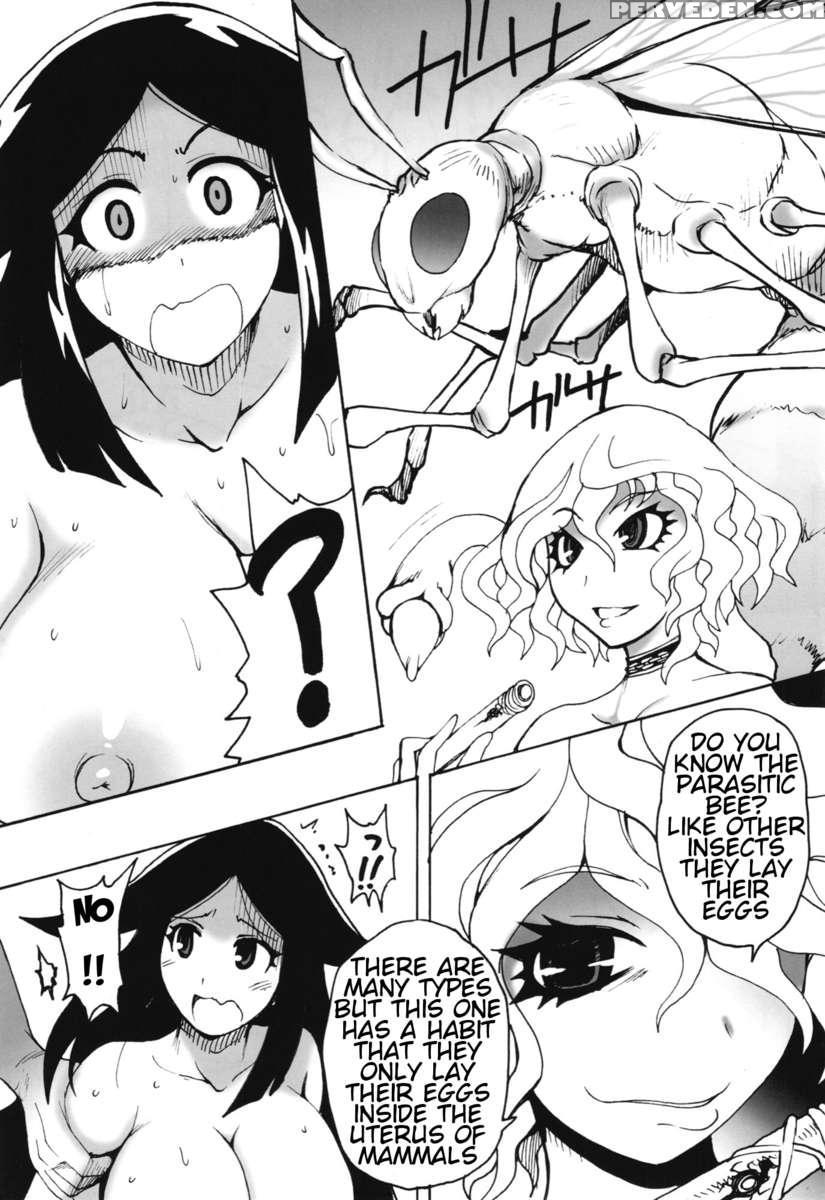 Mushi Mujou 1