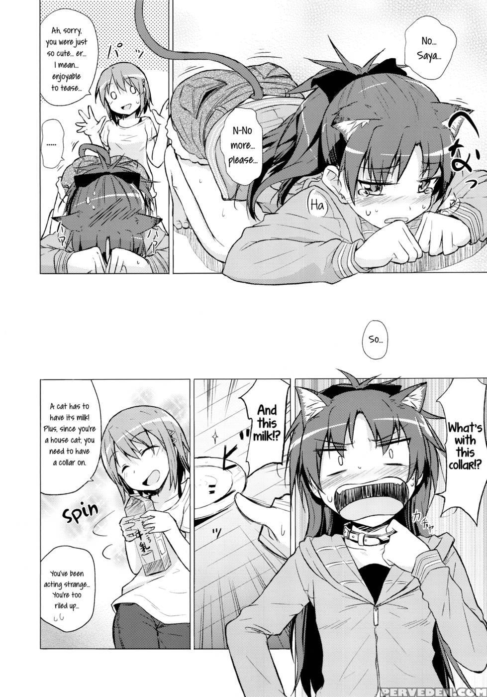 My Companion Became A Cat - Puella Magi Madoka Magica 1
