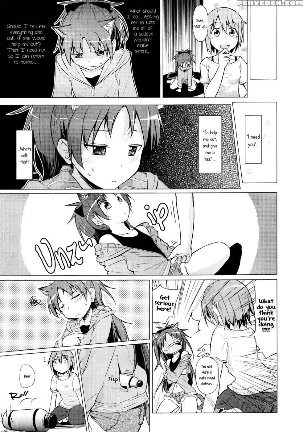 My Companion Became A Cat - Puella Magi Madoka Magica 1