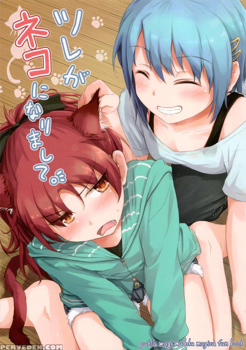 My Companion Became A Cat 1