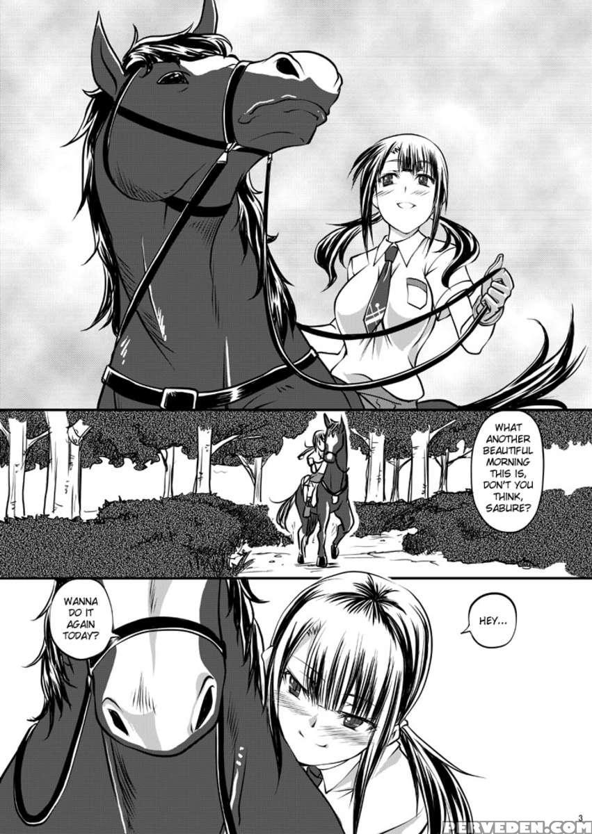 My Favorite Horse 1