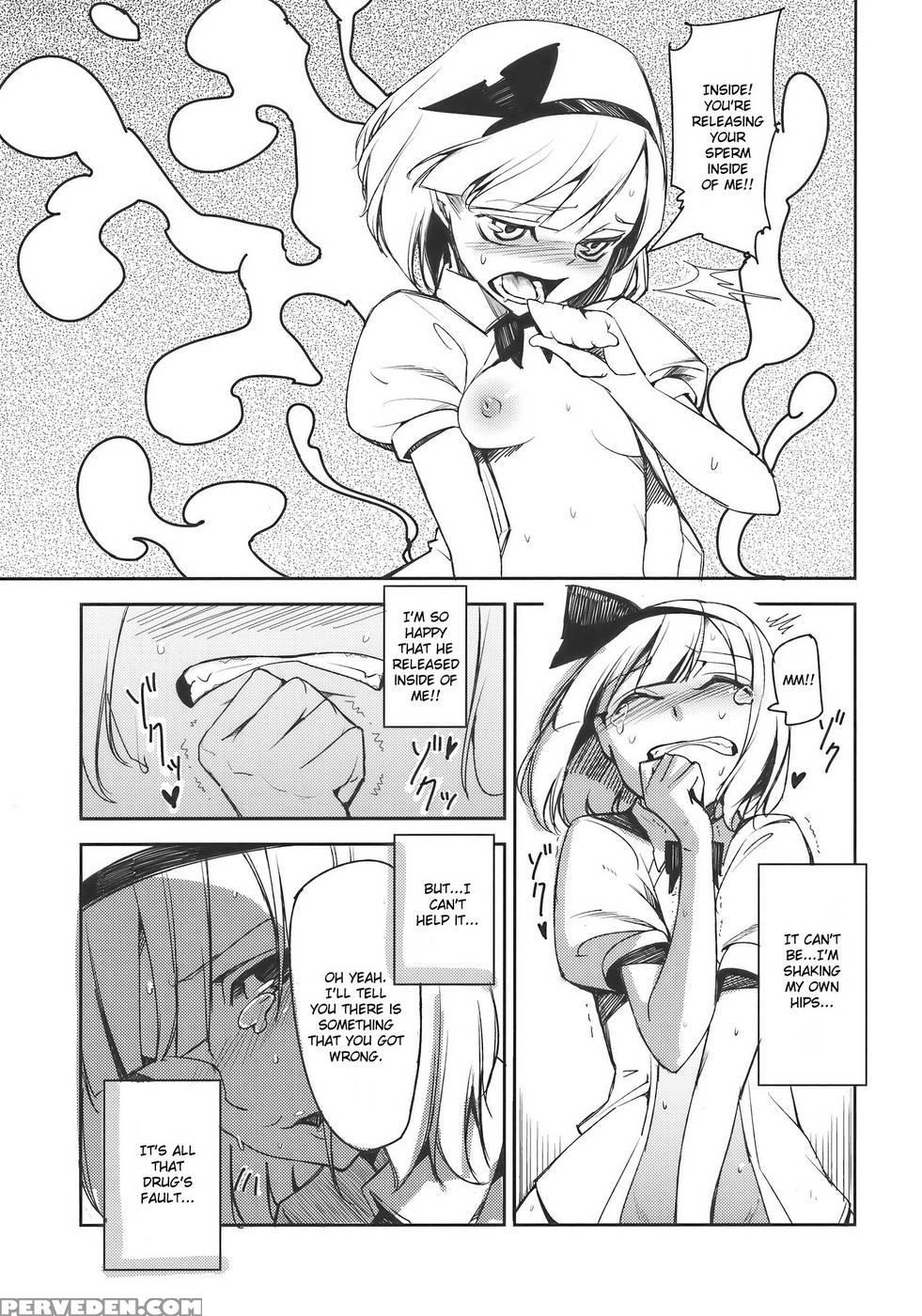 Myon Na Otsukai - Touhou Project 1