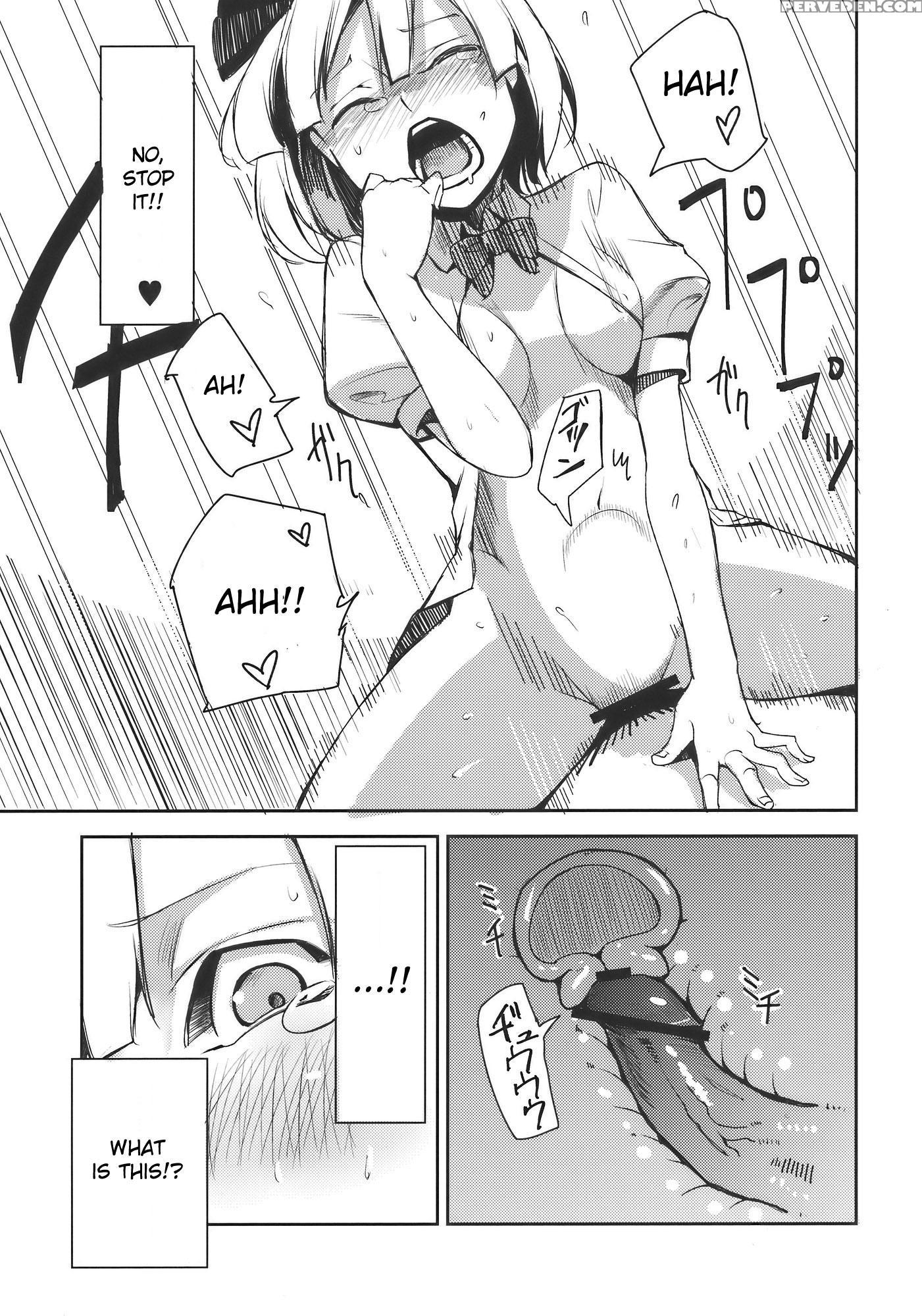 Myon Na Otsukai - Touhou 1
