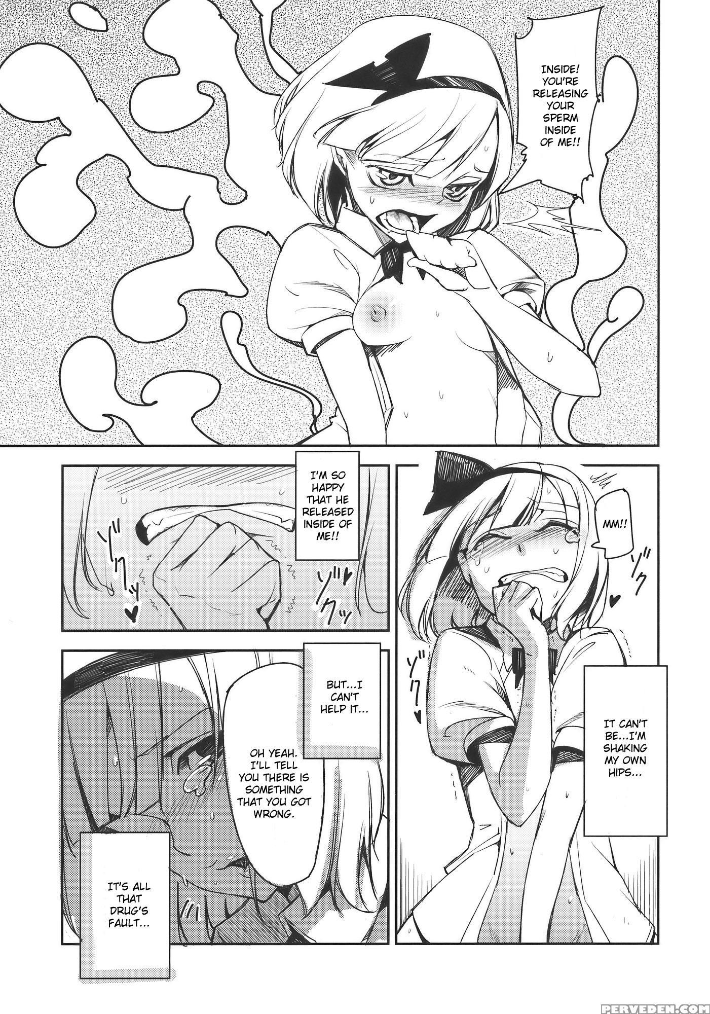 Myon Na Otsukai - Touhou 1