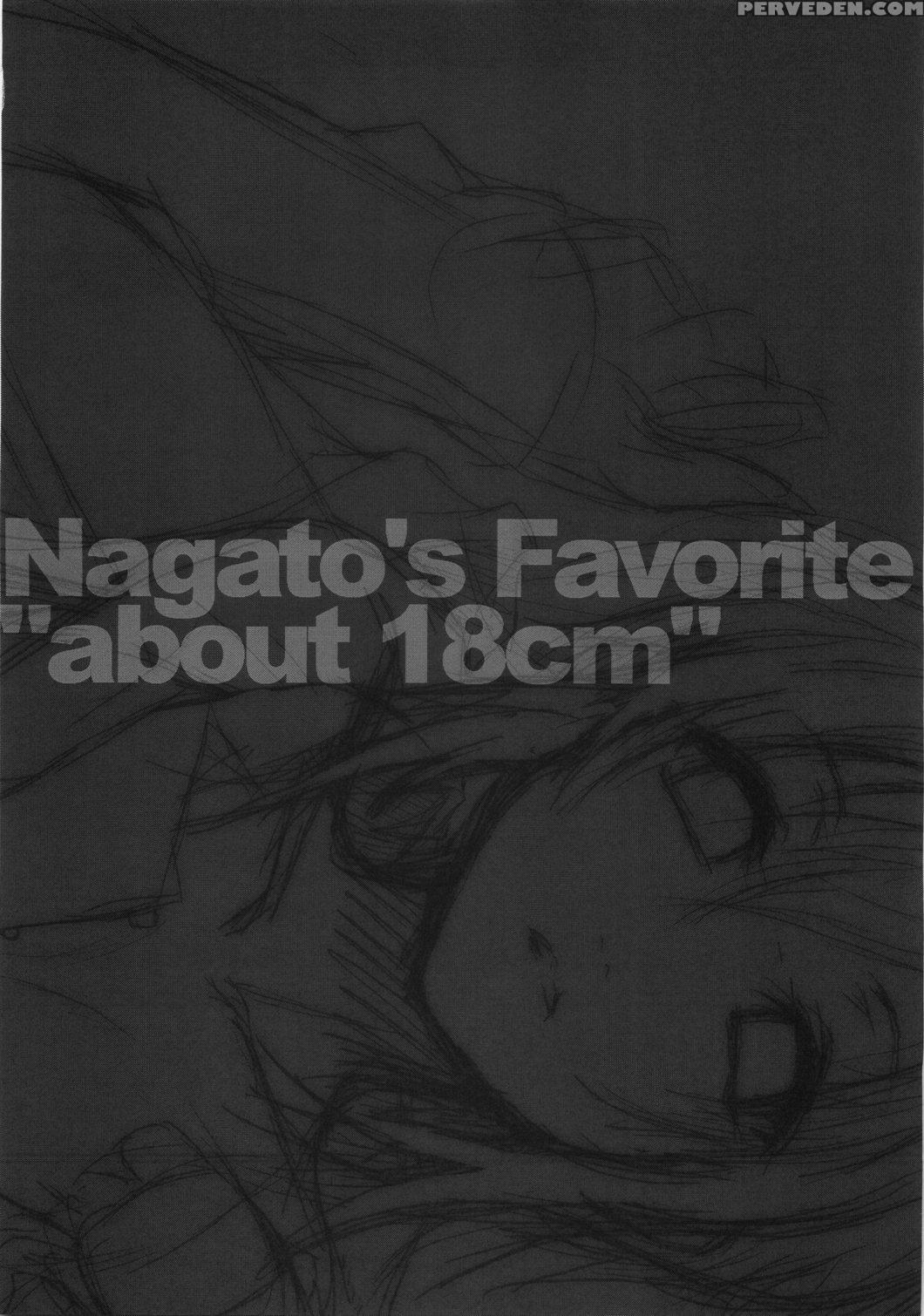 Nagato's Favorite "about 18cm" - The Melancholy Of Haruhi Suzumiya 1