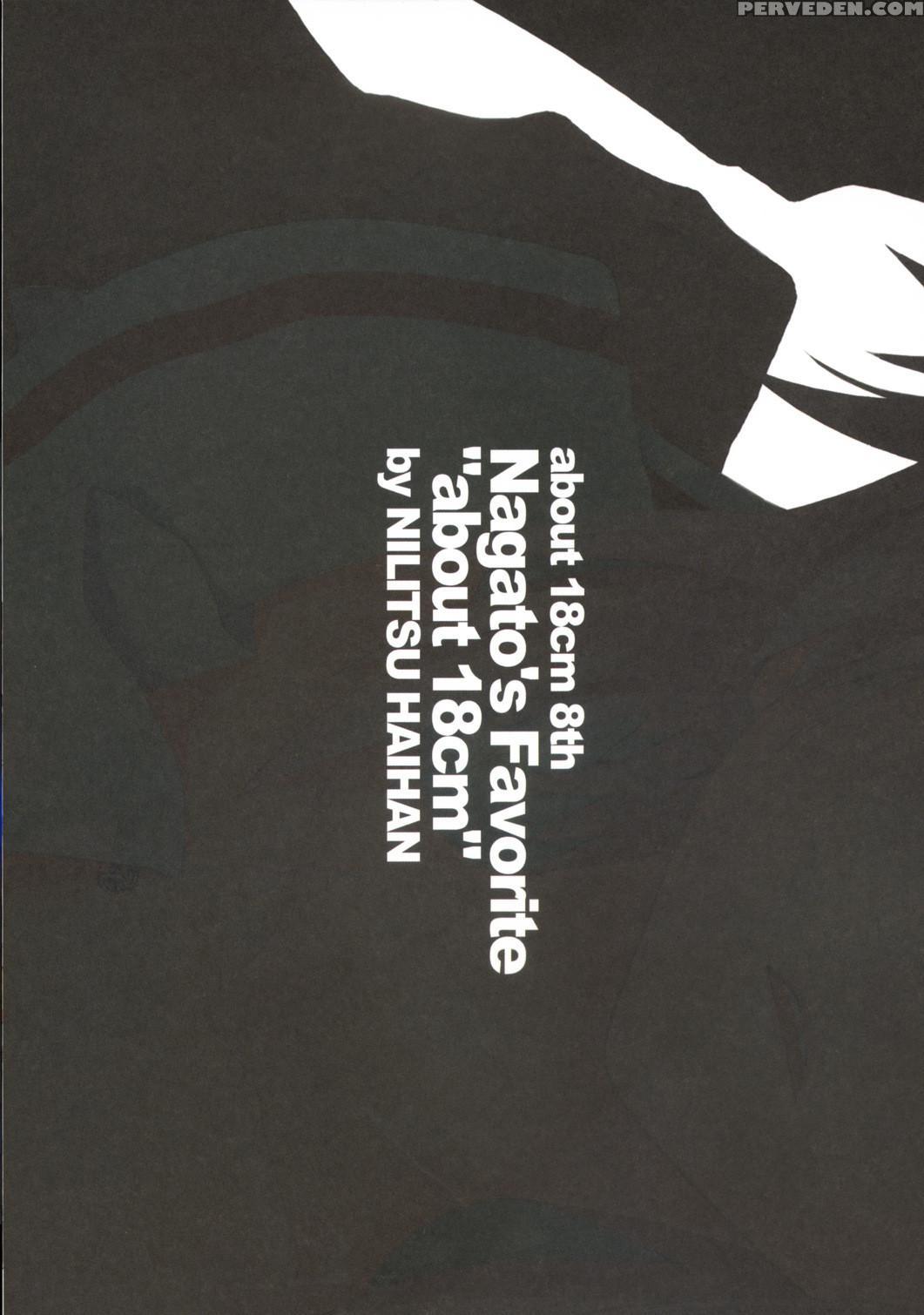 Nagato's Favorite "about 18cm" - The Melancholy Of Haruhi Suzumiya 1