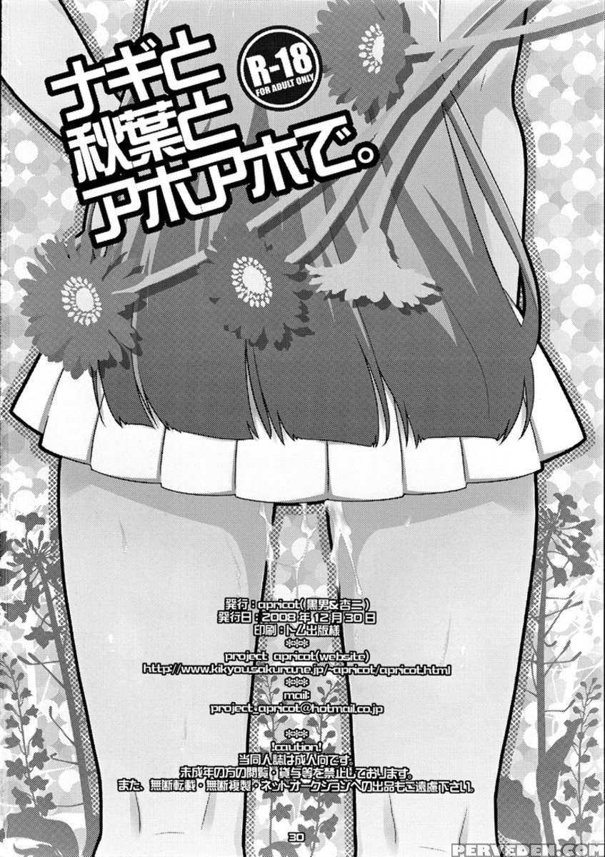 Nagi To Akiba To Aho Aho De 1