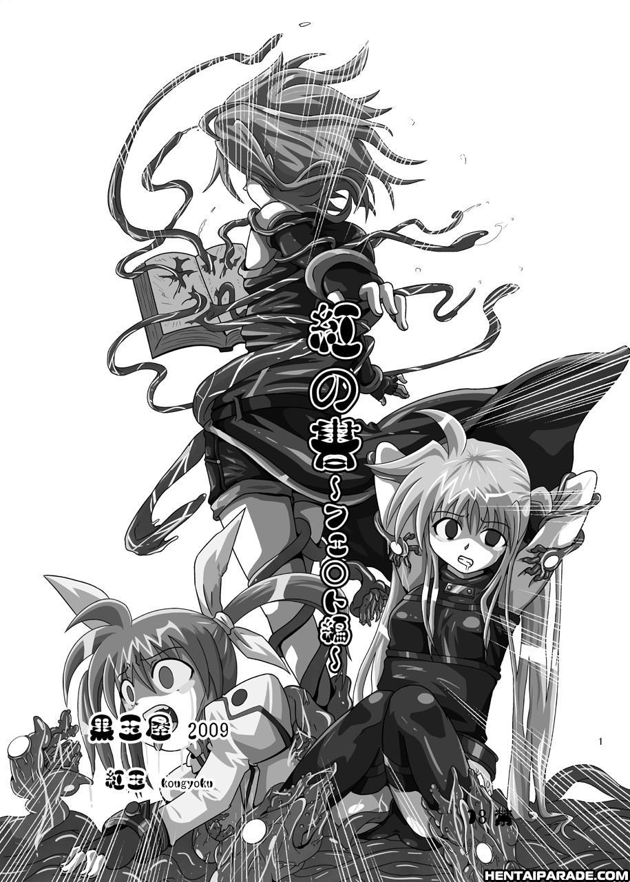 Nanoha Dj - The Crimson Book – Fate Side 1