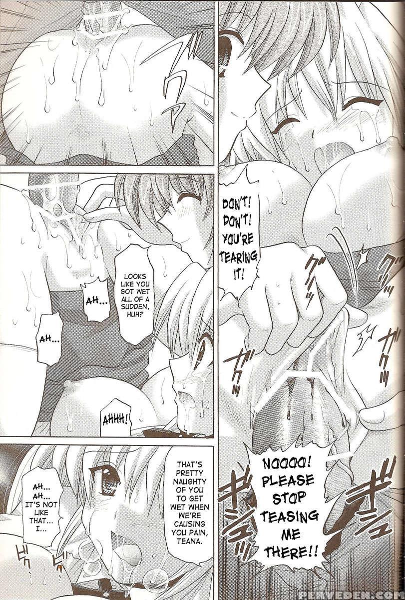 Nanoha No Zettai Zetsumei S+ Chapter 1 Page 6