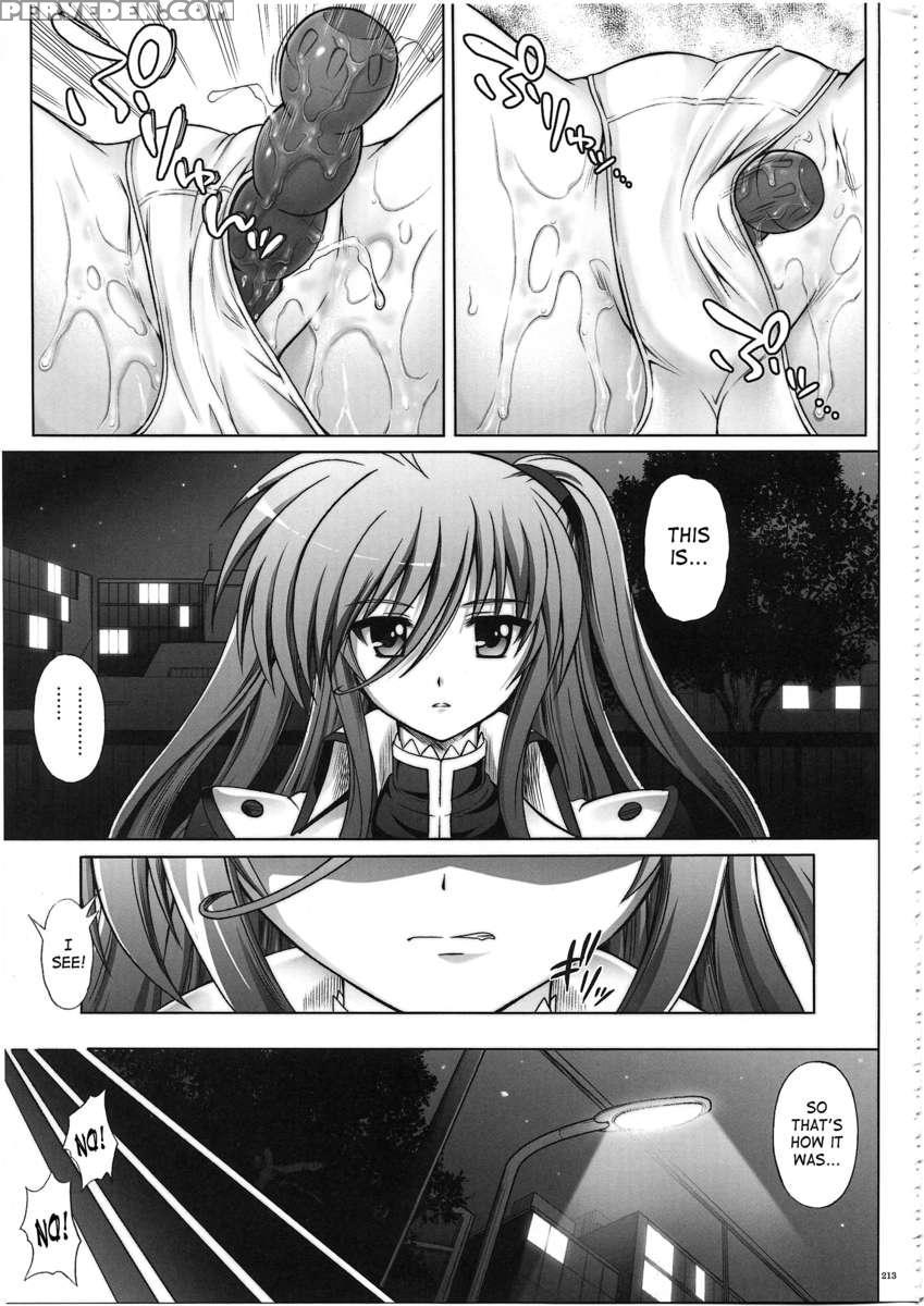 Nanoha-san Ga Fukaku Wo Totta! 1
