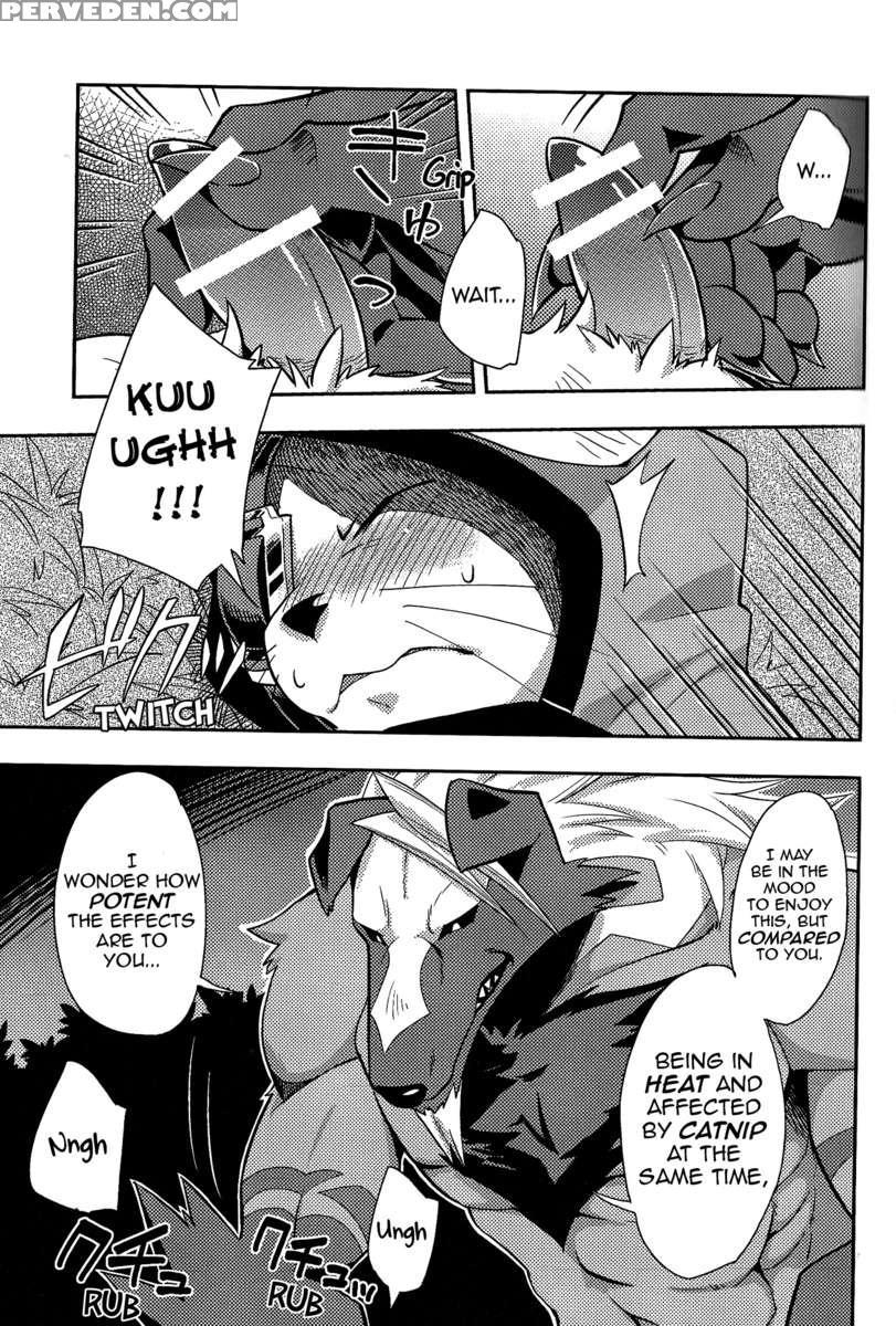 Neko No Eiyu 1