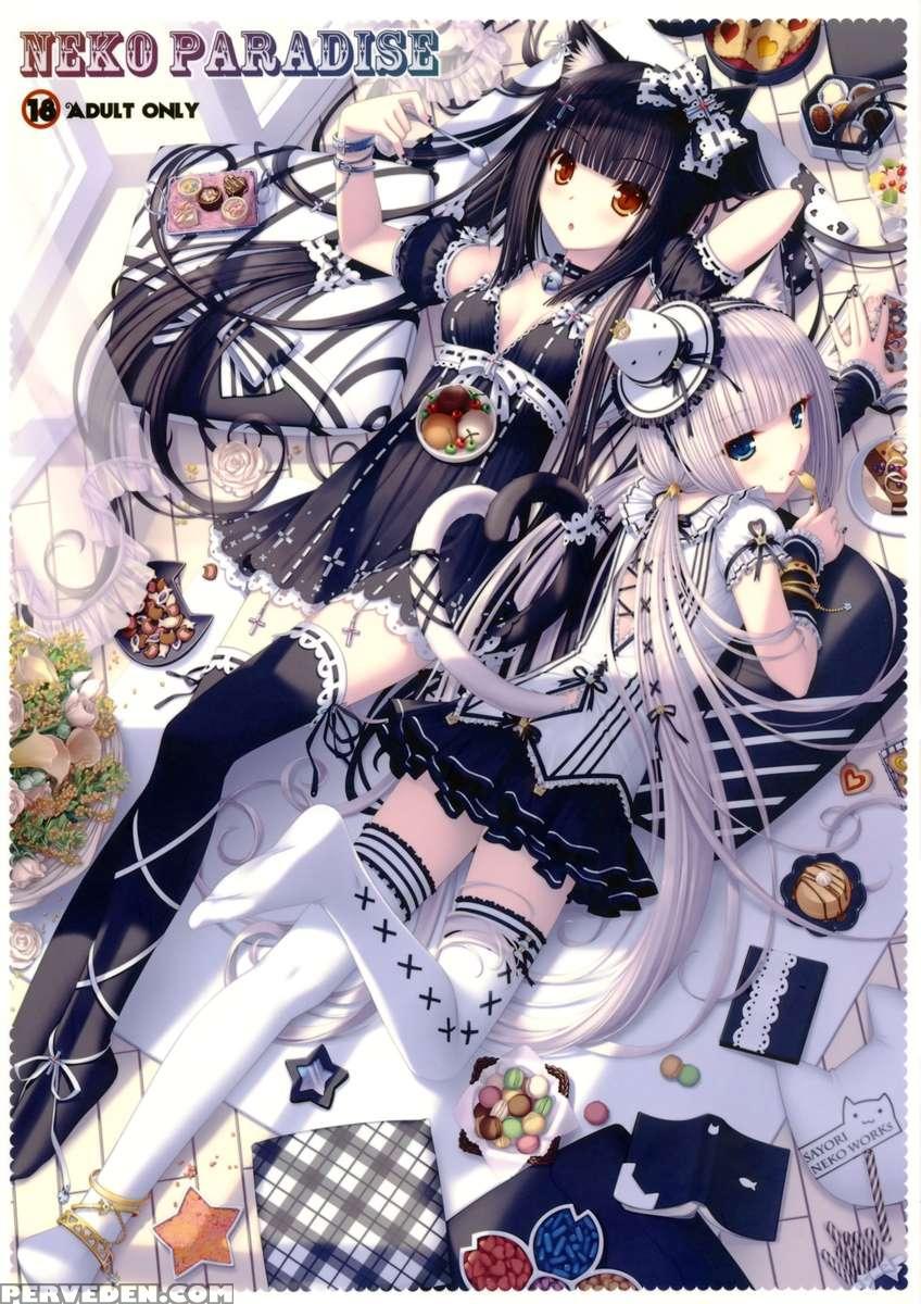 Neko Paradise 1