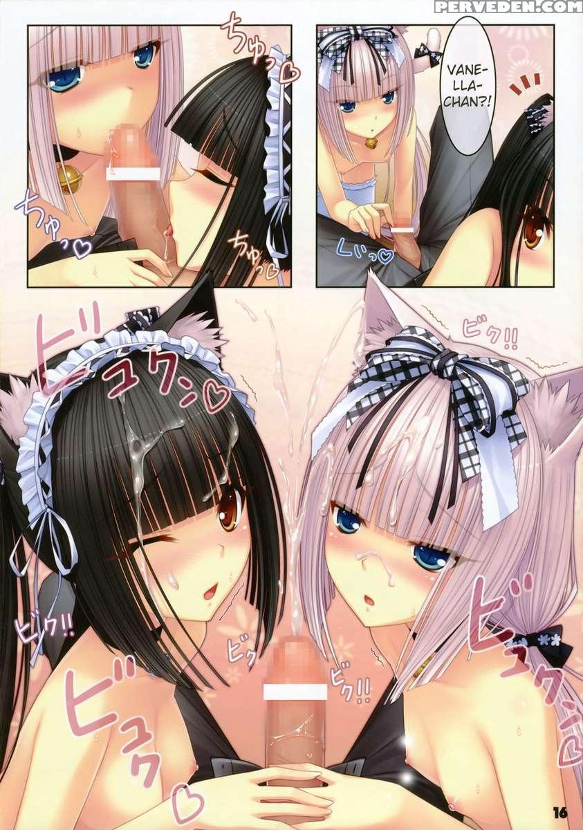 Neko Paradise 1
