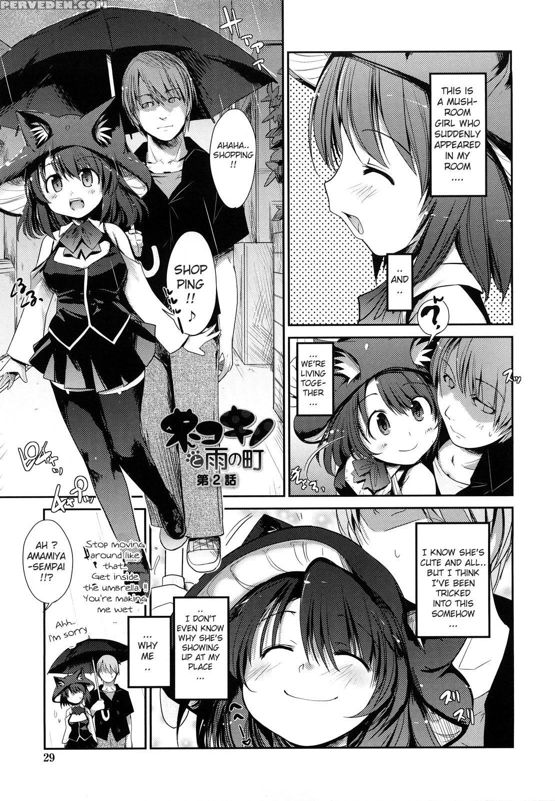 Nekokino To Ame No Machi 2