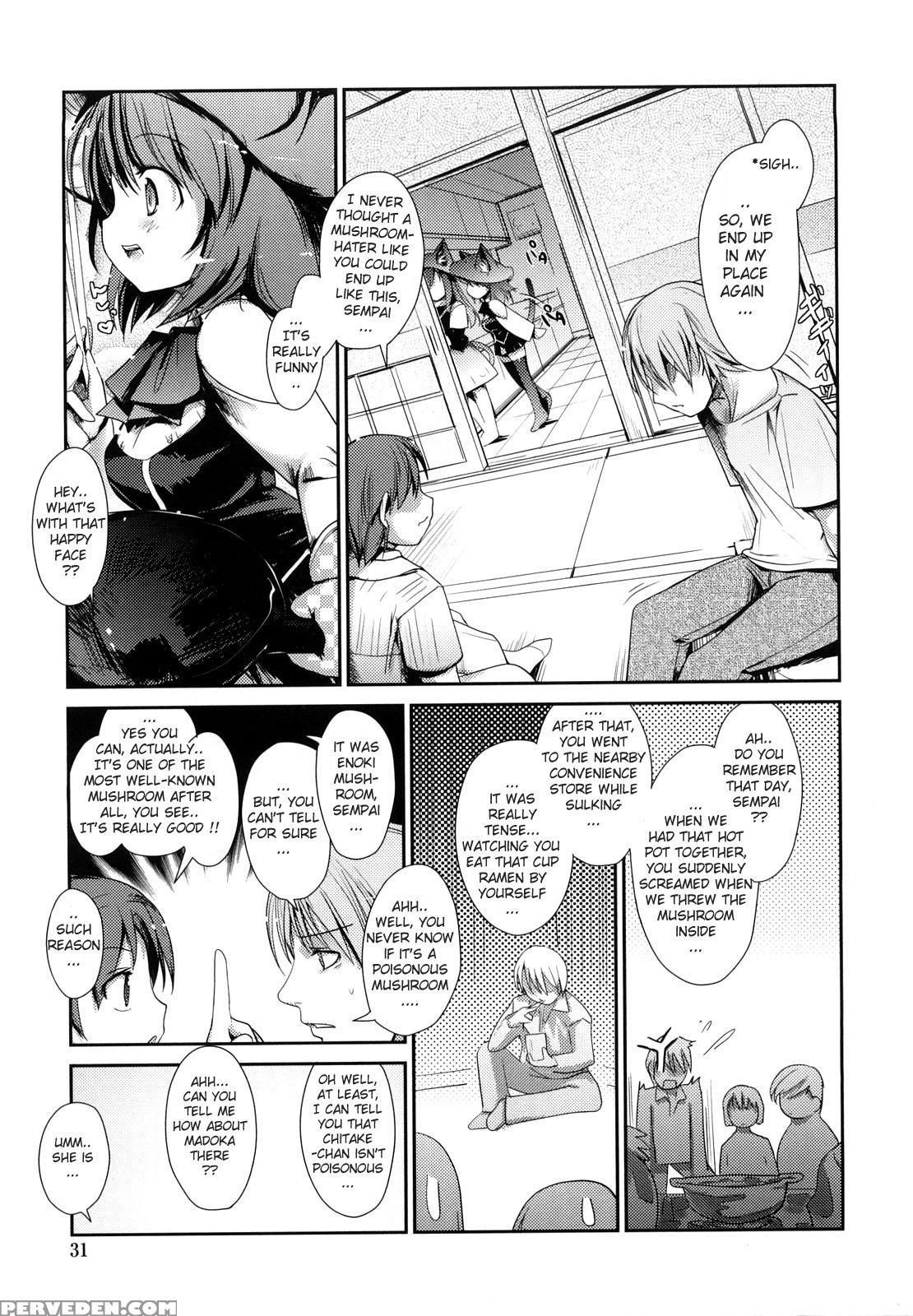 Nekokino To Ame No Machi 2