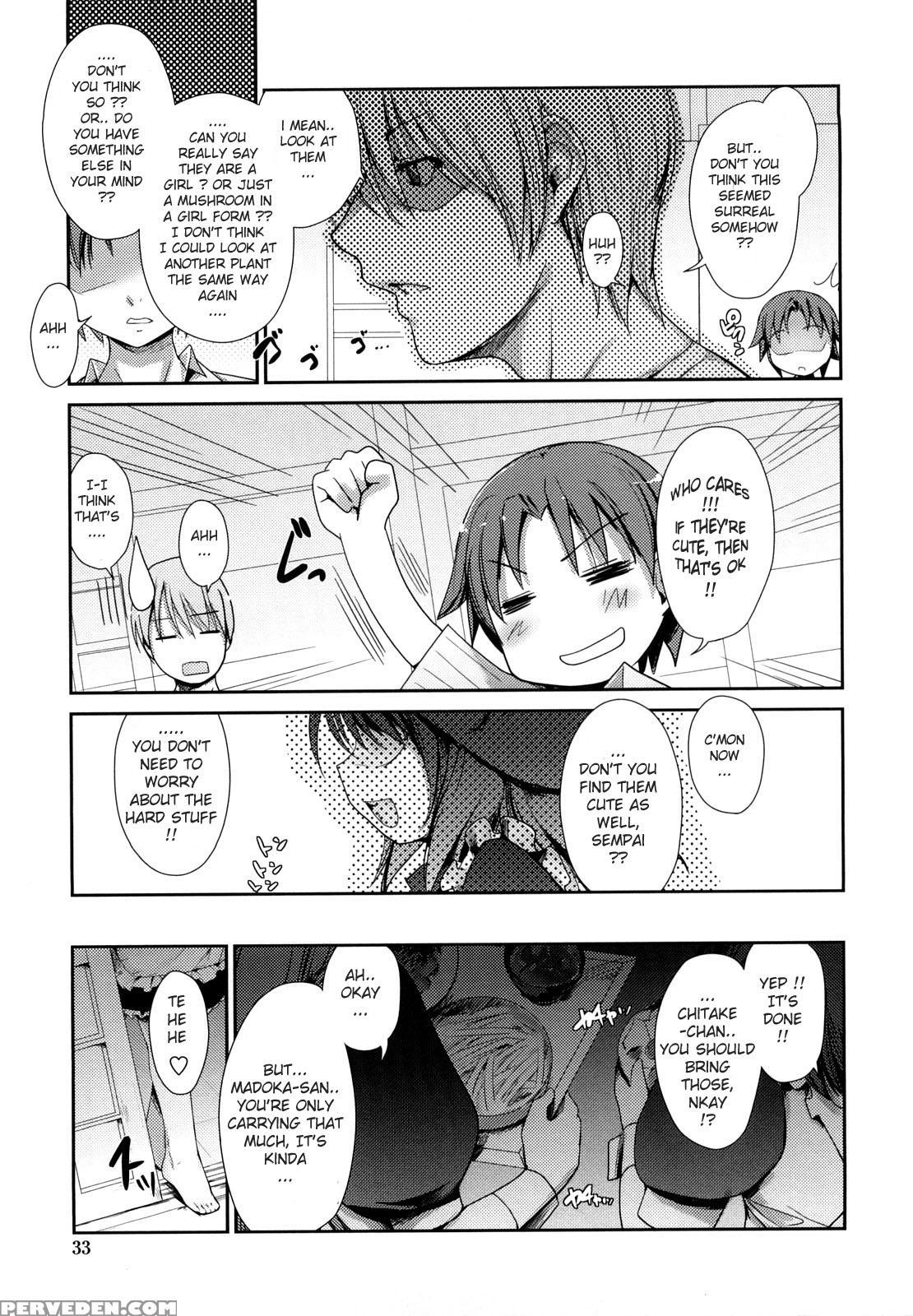 Nekokino To Ame No Machi 2